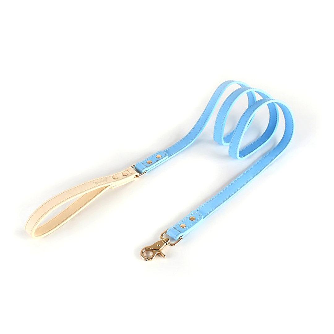 Leather Leashes