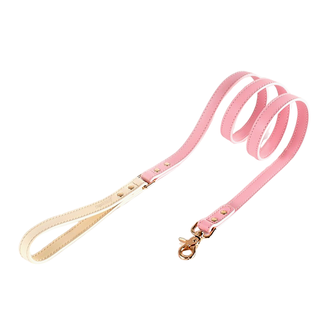 Leather Leashes