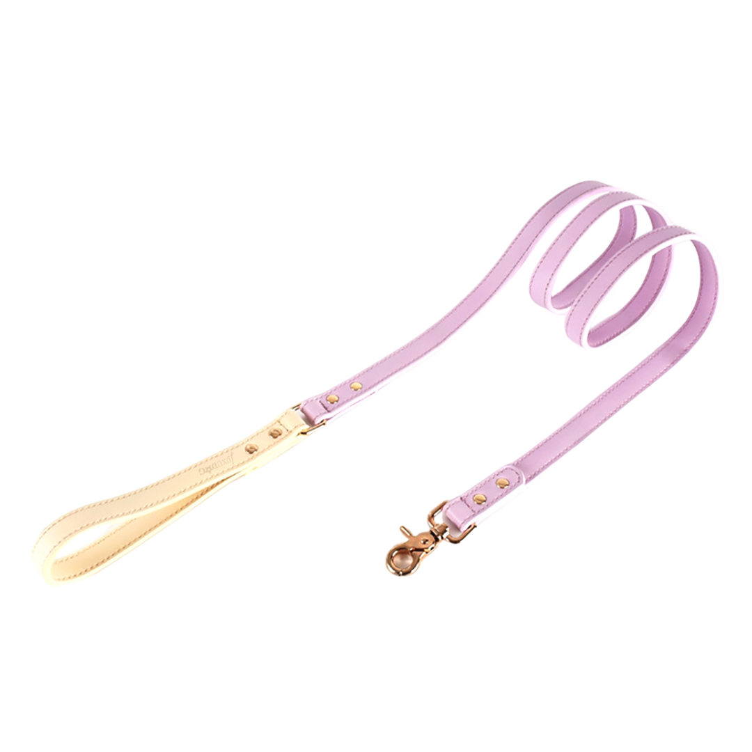 Leather Leashes