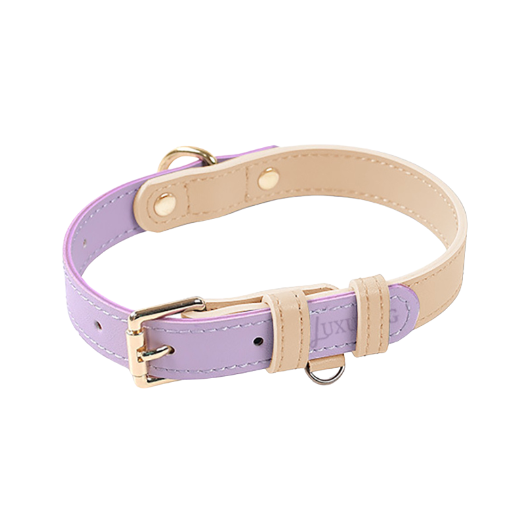 Leather Collars
