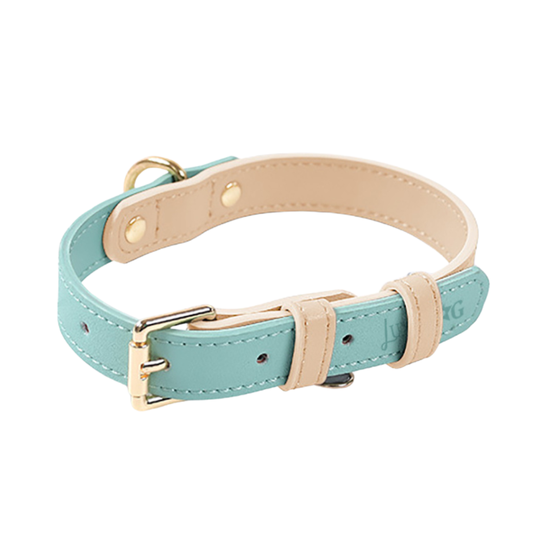 Leather Collars