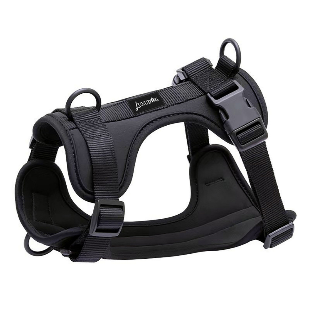 Harnesses
