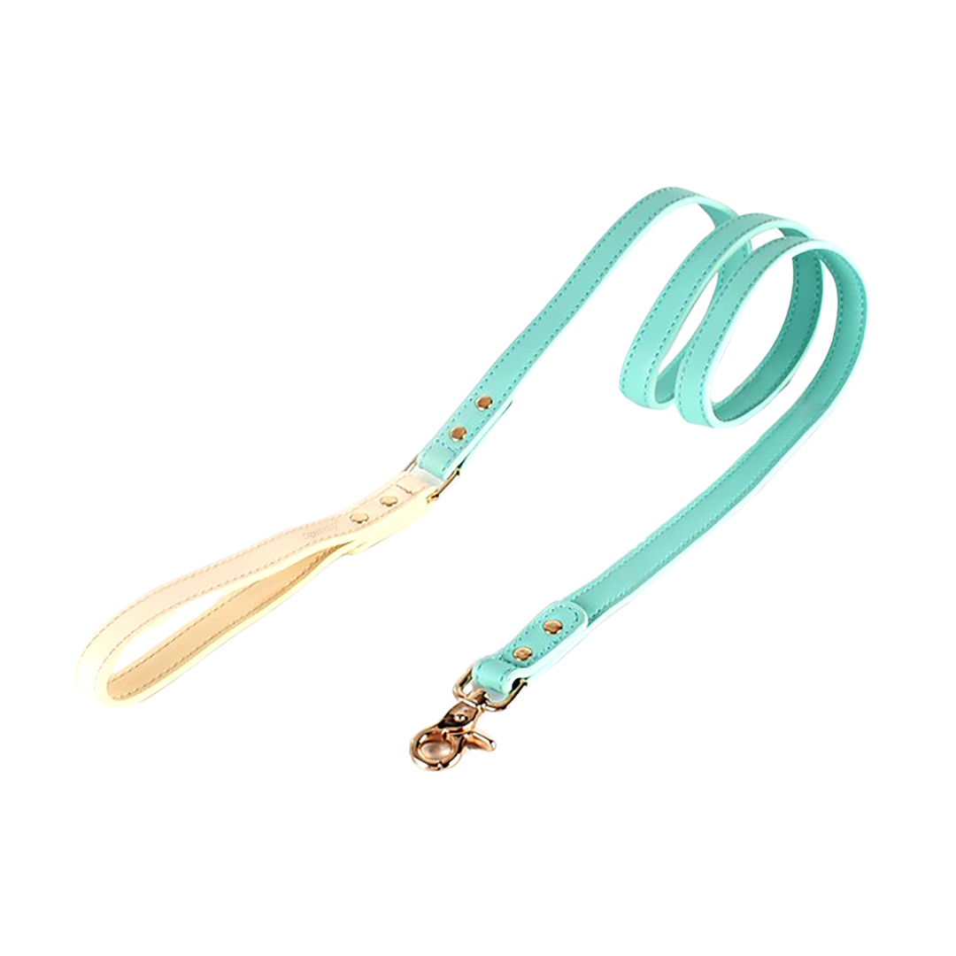 Leather Leashes