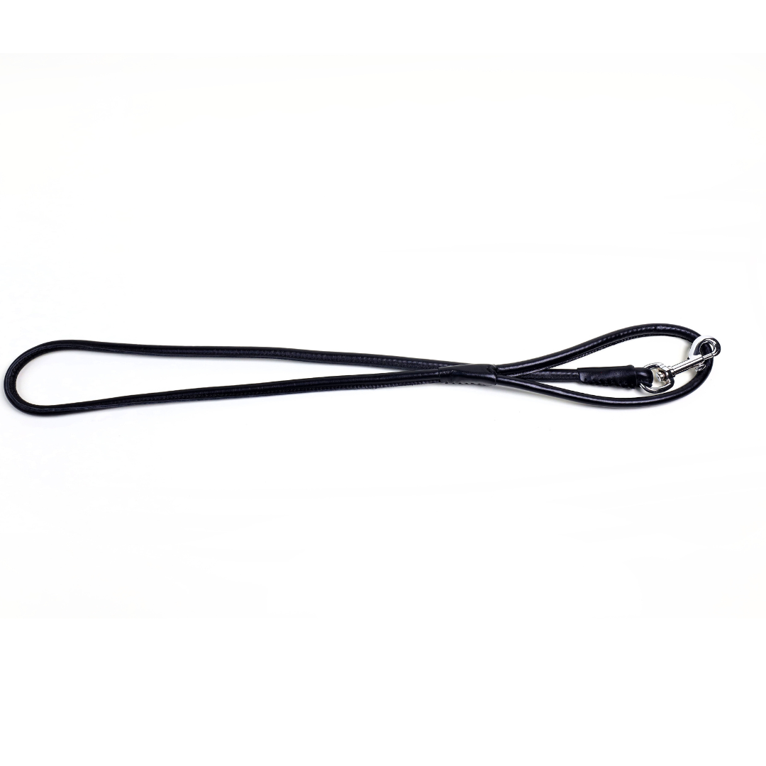 Colorful Leashes