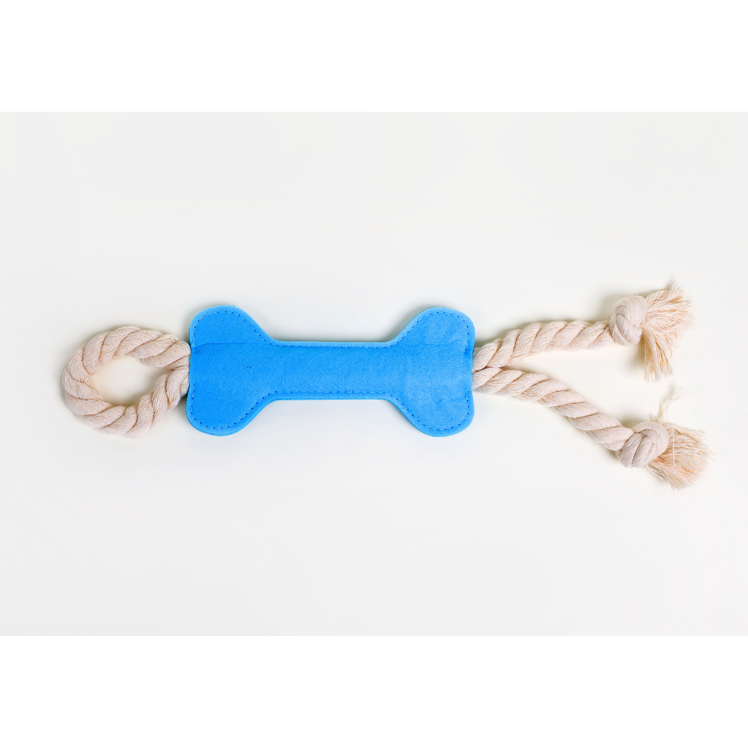 Bone Toy!
