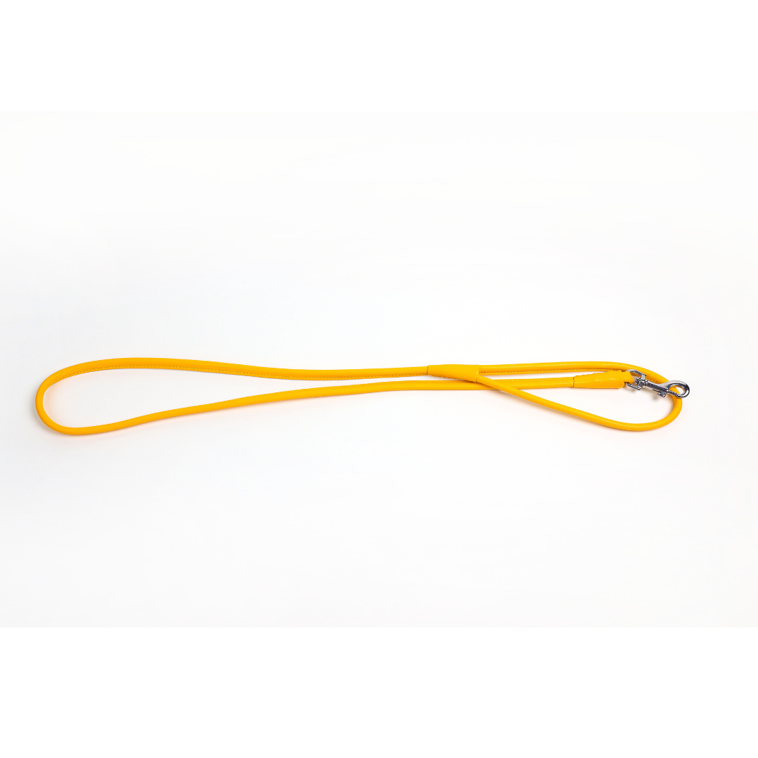 Colorful Leashes