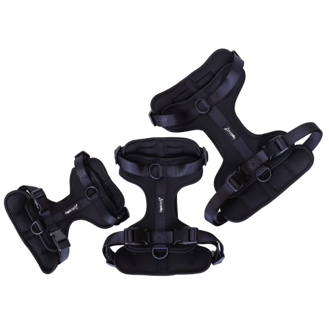 Harnesses