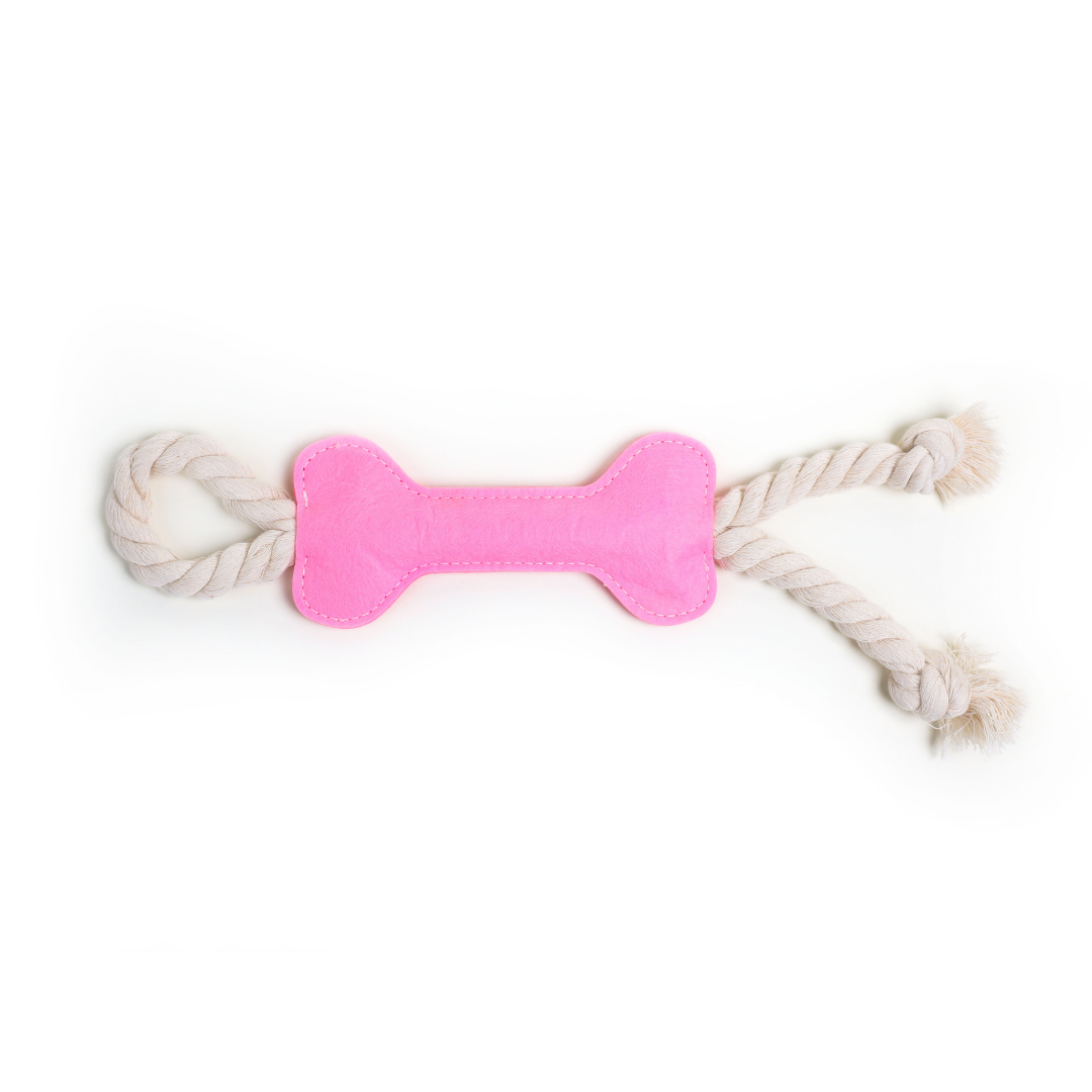 Bone Toy!