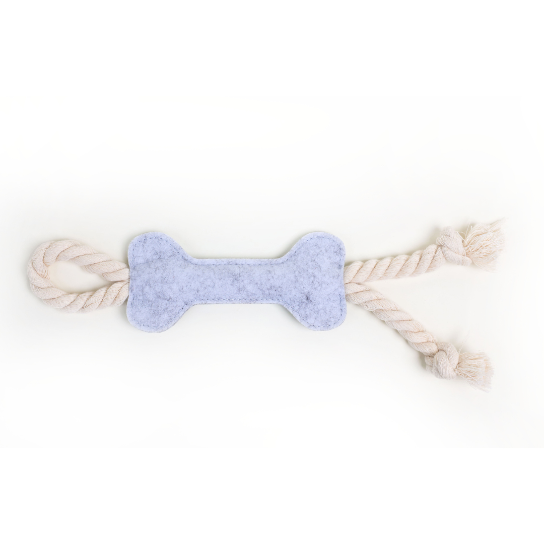 Bone Toy!