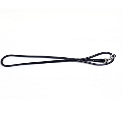 Colorful Leashes