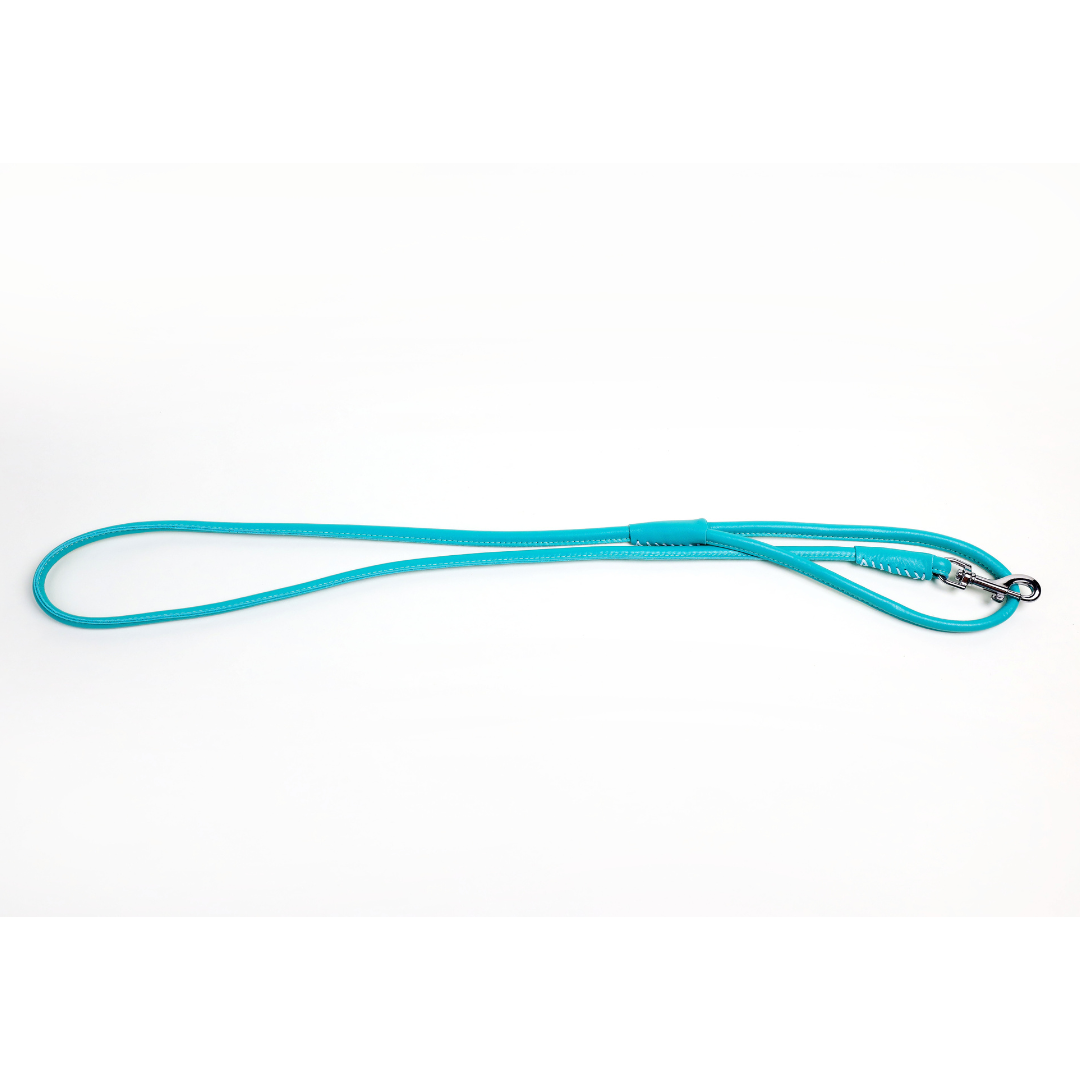 Colorful Leashes