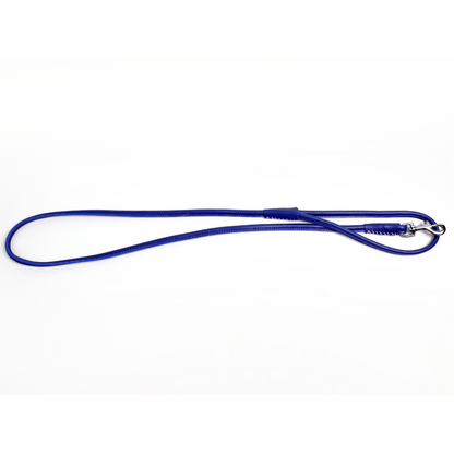 Colorful Leashes