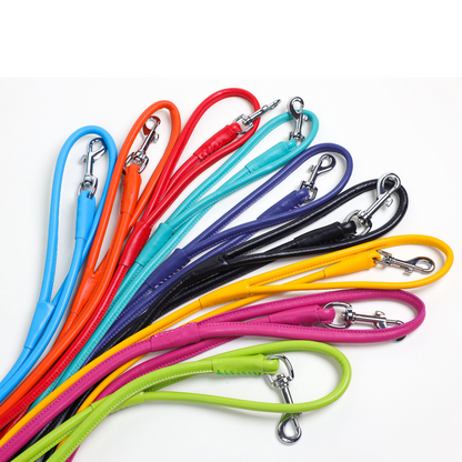 Colorful Leashes