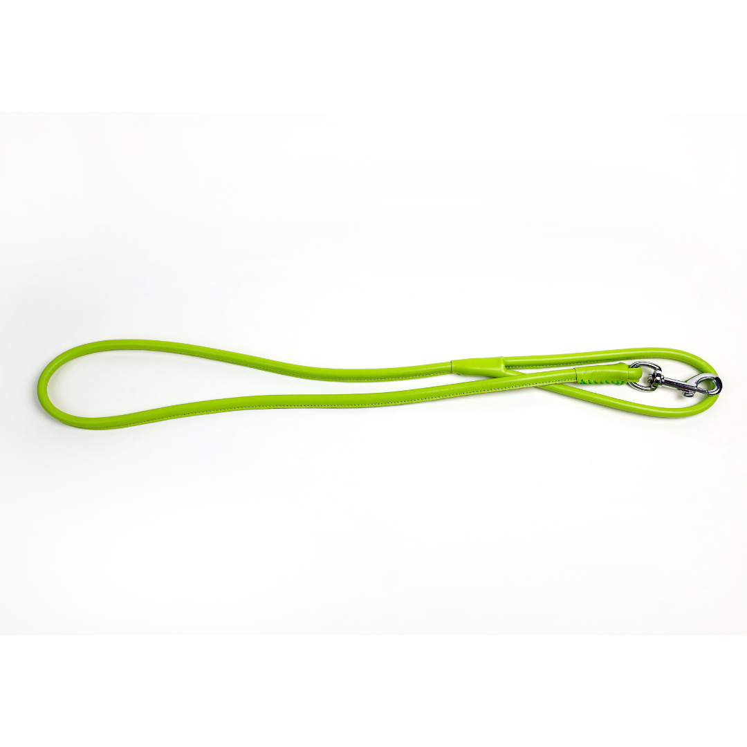 Colorful Leashes
