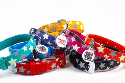Leather Stars Collars