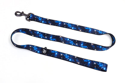 Nylon Leashes
