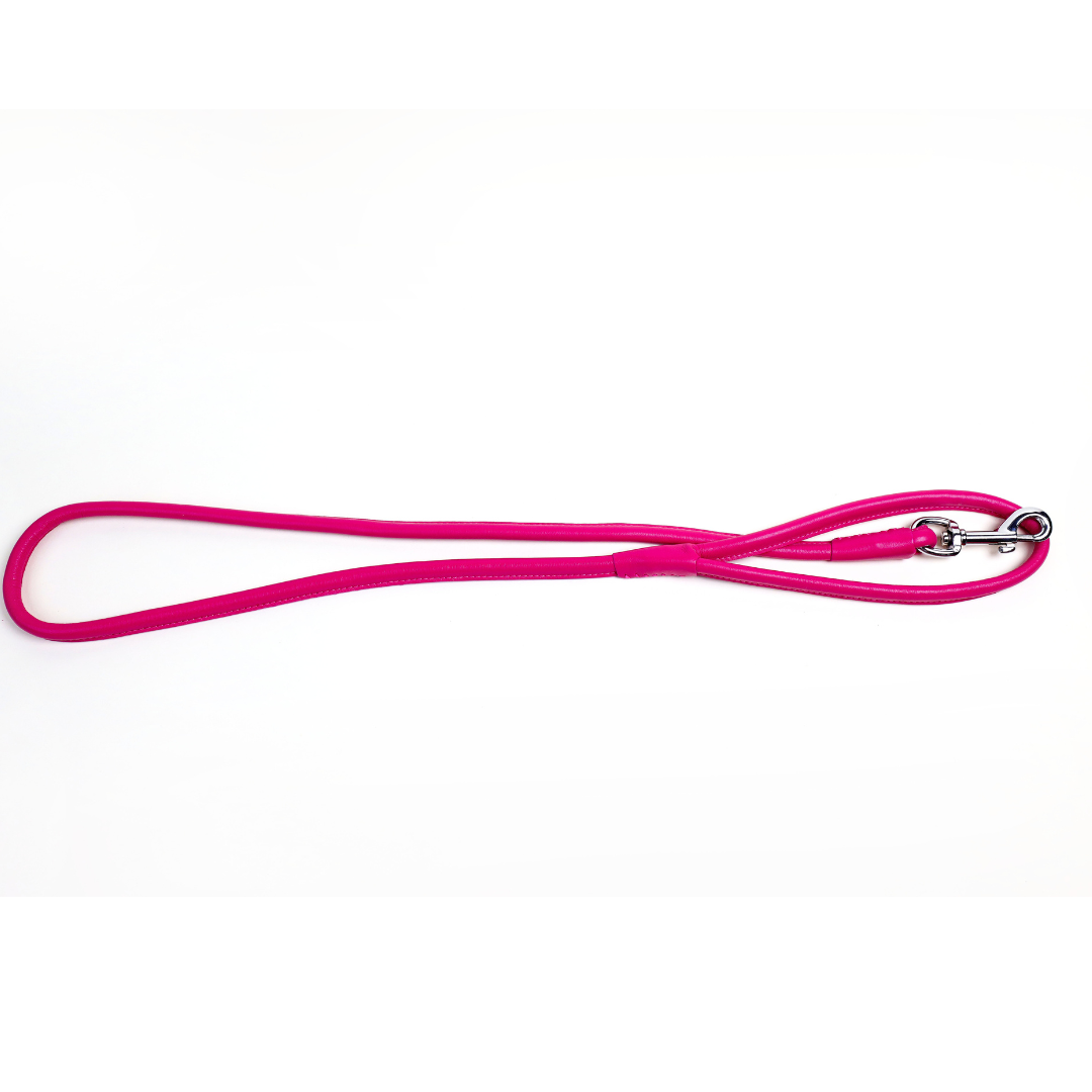 Colorful Leashes