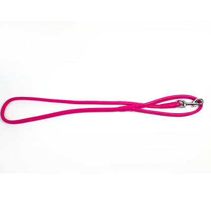 Colorful Leashes