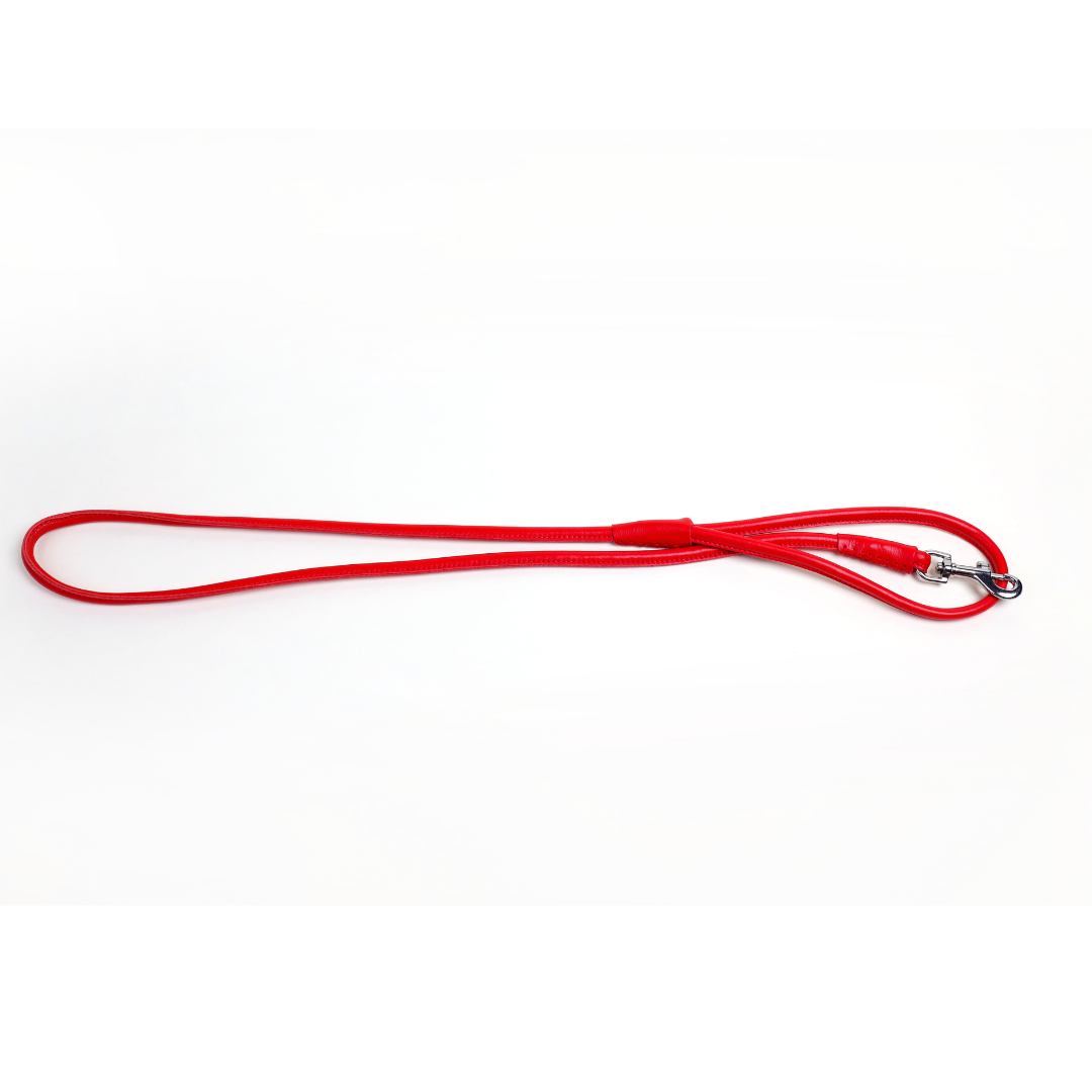 Colorful Leashes