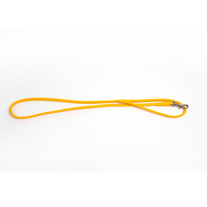 Colorful Leashes