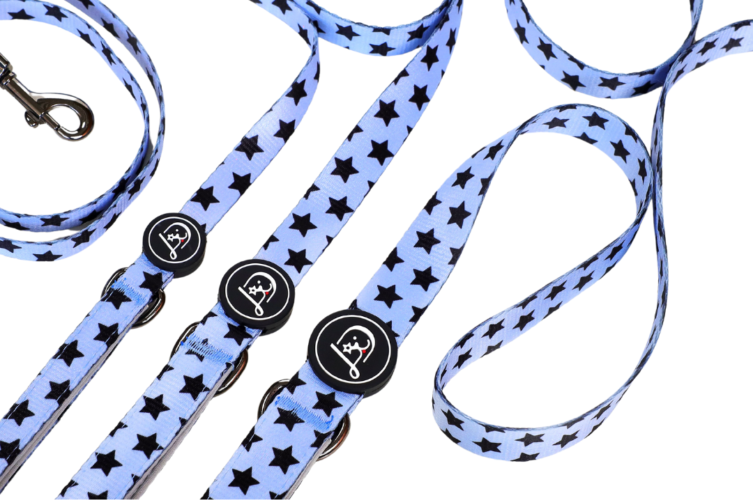 Leashes of Stars