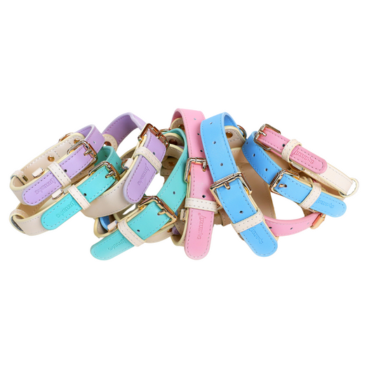 Leather Collars