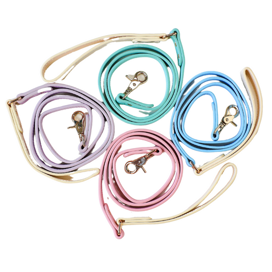Leather Leashes